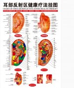 Ear Auricular Acupuncture Chart